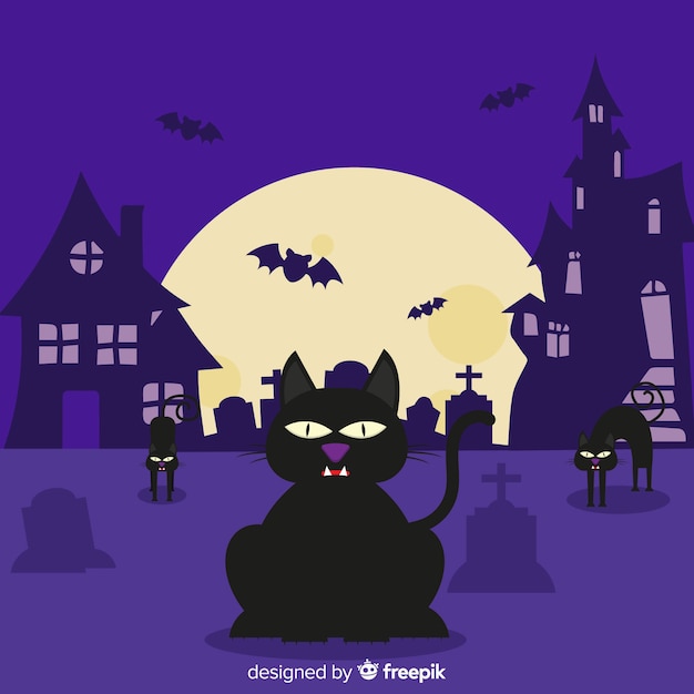 Fond De Chat Halloween Au Design Plat