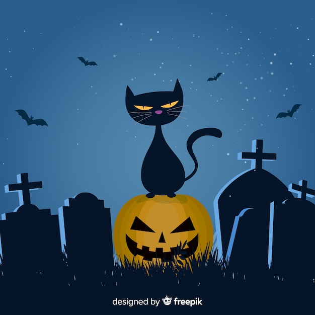 Fond De Chat Halloween Au Design Plat