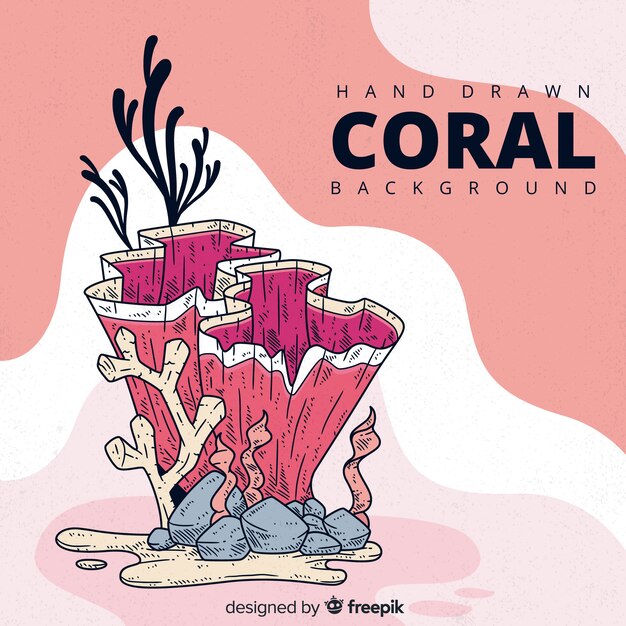 Fond De Corail Dessiné à La Main