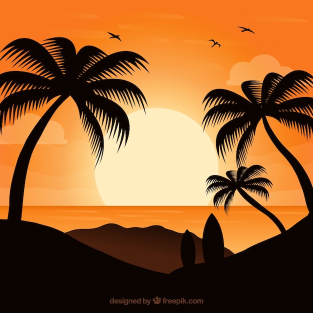 Fond de coucher de soleil avec des palmiers