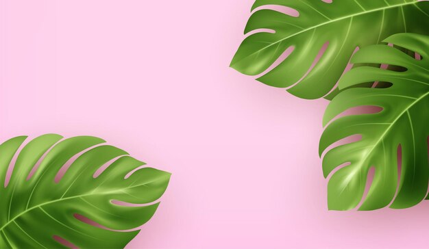 Fond d'été rose vif avec des feuilles de monstera tropicales réalistes.