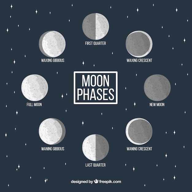 Fond étoilé Avec Phases Décoratives De La Lune