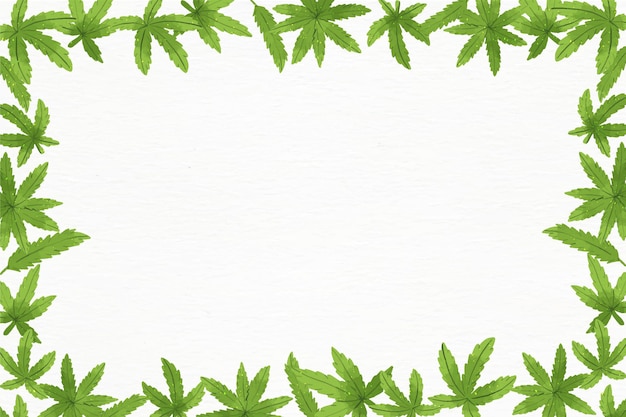 Fond De Feuille De Cannabis Aquarelle Avec Un Espace Vide