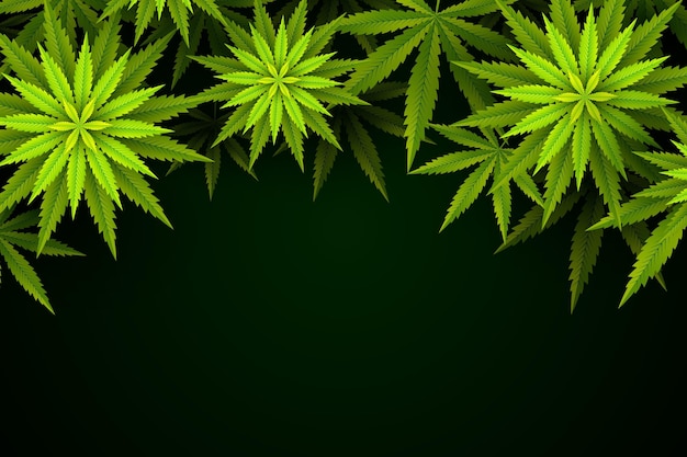 Fond de feuille de cannabis botanique