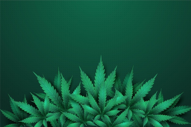 Vecteur gratuit fond de feuille de cannabis réaliste
