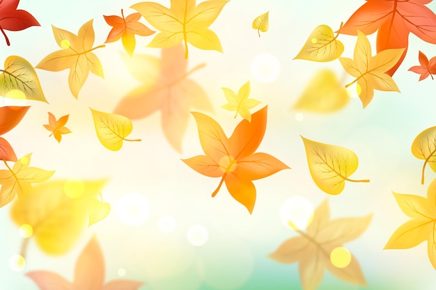 Vecteur gratuit fond de feuilles d'automne réaliste