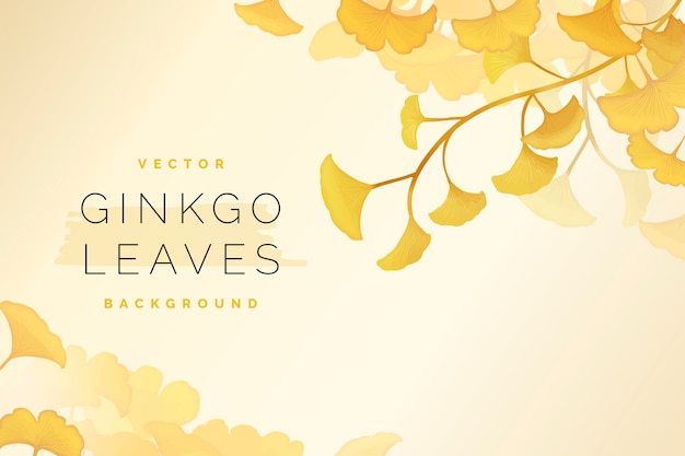 Fond de feuilles de ginkgo