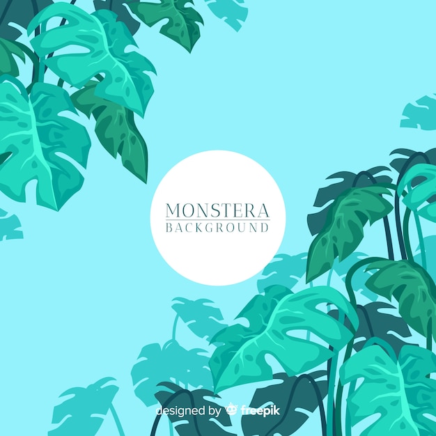 Fond De Feuilles De Monstera Plat