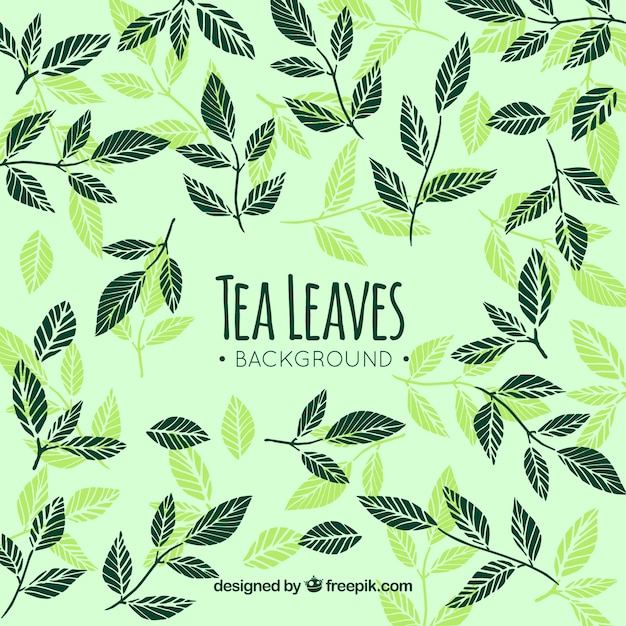 Vecteur gratuit fond de feuilles de thé dessinés à la main