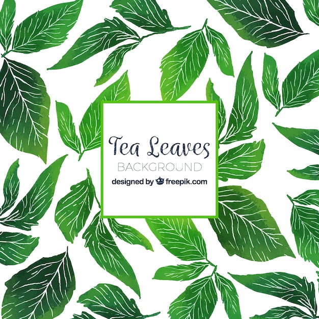 Vecteur gratuit fond de feuilles de thé dessinés à la main
