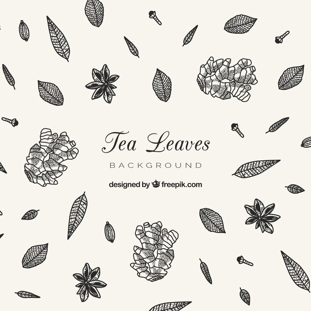 Fond de feuilles de thé dessinés à la main