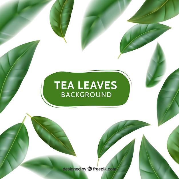 Fond de feuilles de thé avec un style réaliste