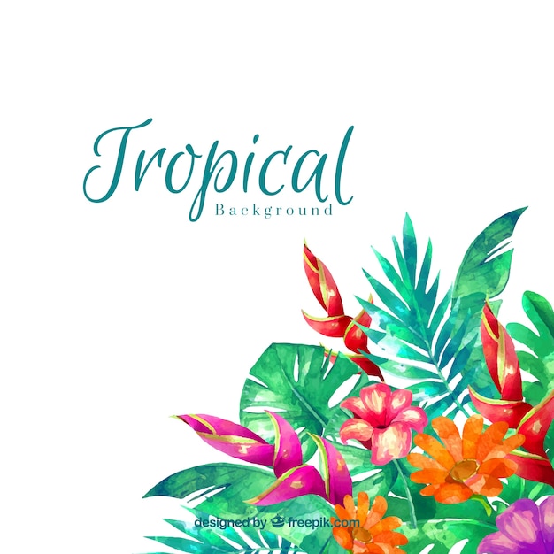 Fond De Feuilles Tropical Aquarelle