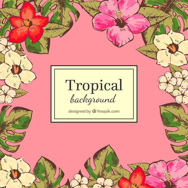 Fond De Feuilles Tropicales Colorées