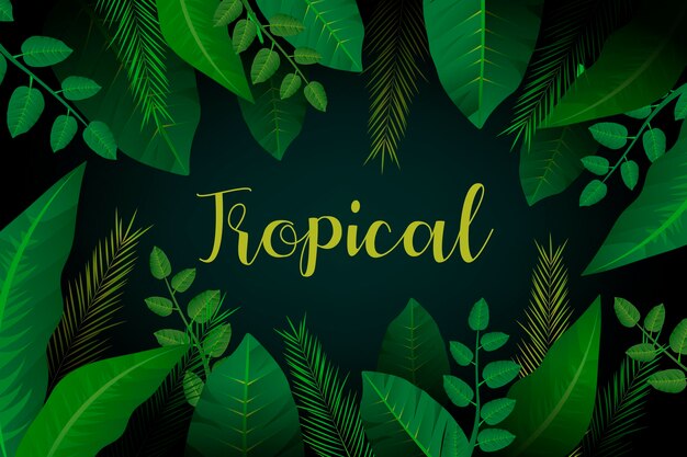 Fond de feuilles tropicales avec mot tropical