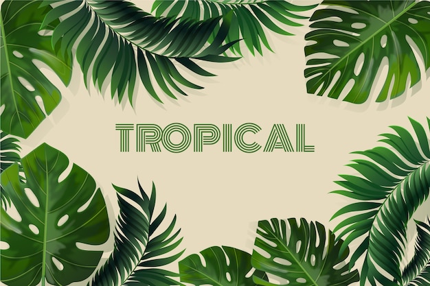 Fond de feuilles tropicales réalistes