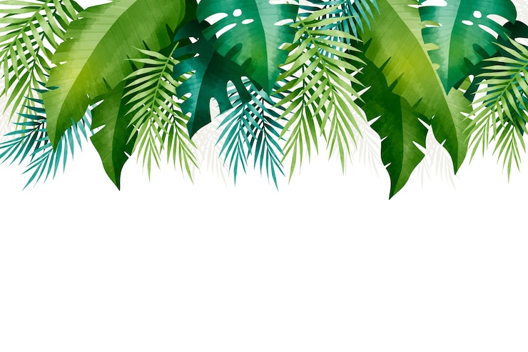 Vecteur gratuit fond de feuilles tropicales