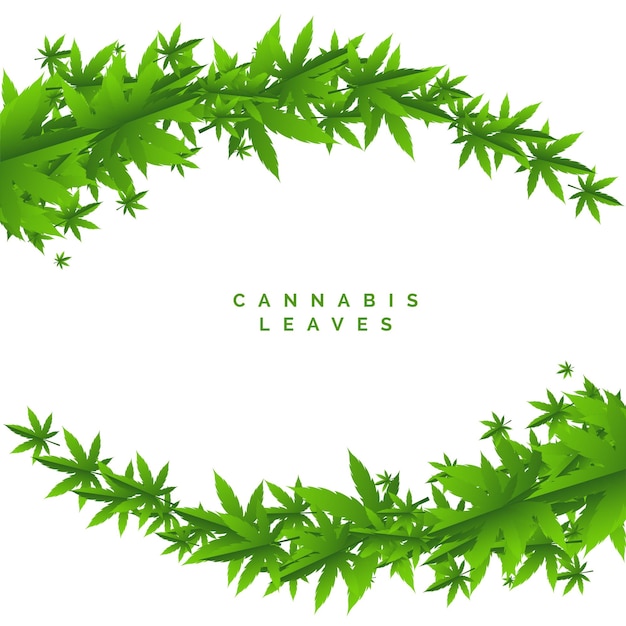Vecteur gratuit fond de feuilles vertes de marijuana