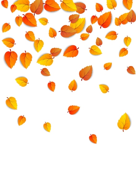 Vecteur gratuit fond de feuilles verticales d'automne bannière d'automne de feuillage tombant doré isolé sur blanc