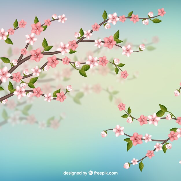 Fond de fleur de cerisier avec des branches