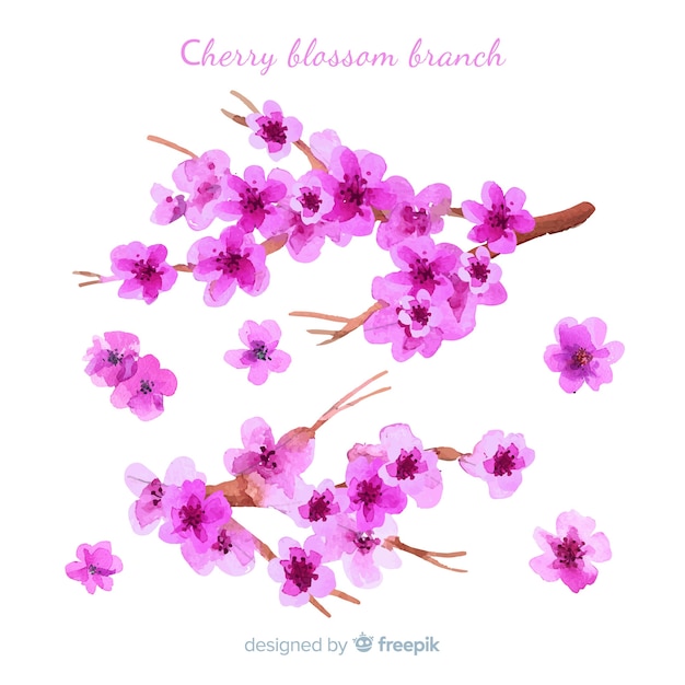 Fond de fleurs de cerisier dessinés à la main