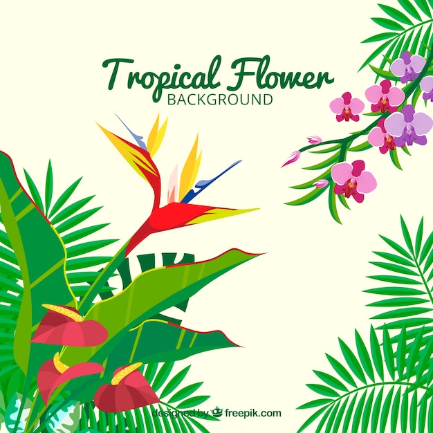 Vecteur gratuit fond de fleurs tropicales avec des feuilles de palmiers