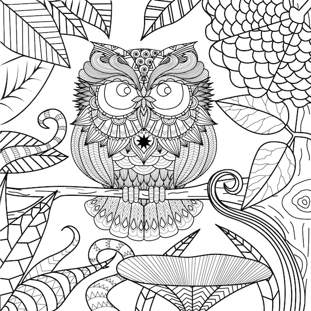 Fond De Hibou Dessiné à La Main