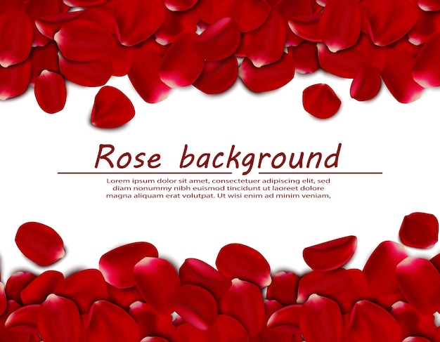 Vecteur gratuit fond horizontal de pétales de roses réalistes