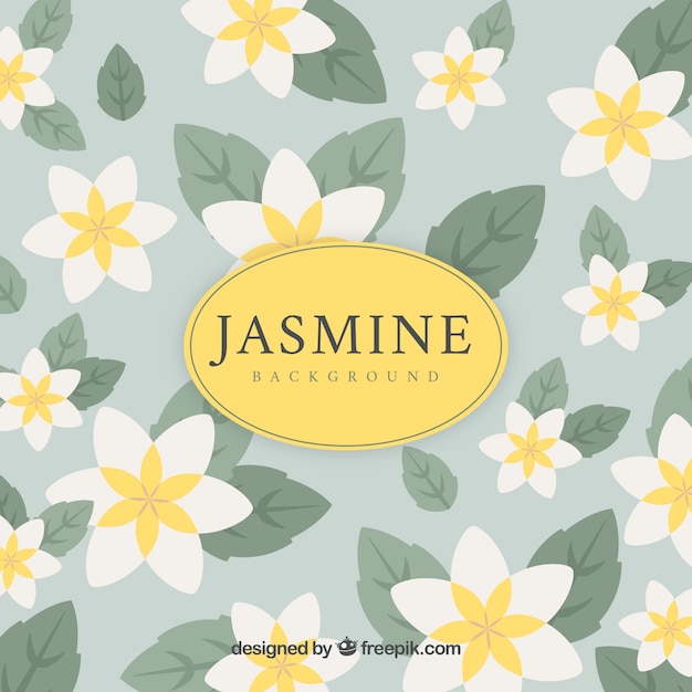 Fond Jasmin Avec Design Plat