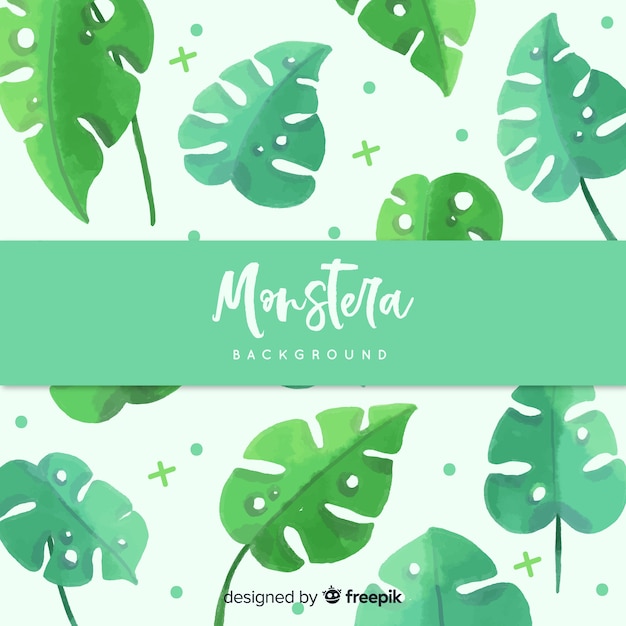 Fond Monstera Aquarelle