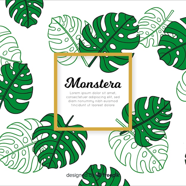 Fond De Monstera Dessiné à La Main