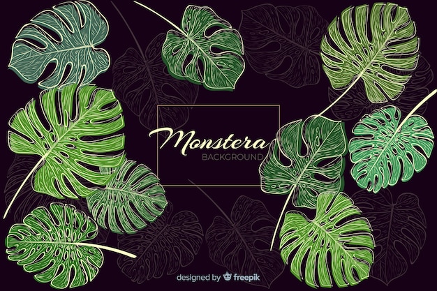 Vecteur gratuit fond de monstera dessiné à la main