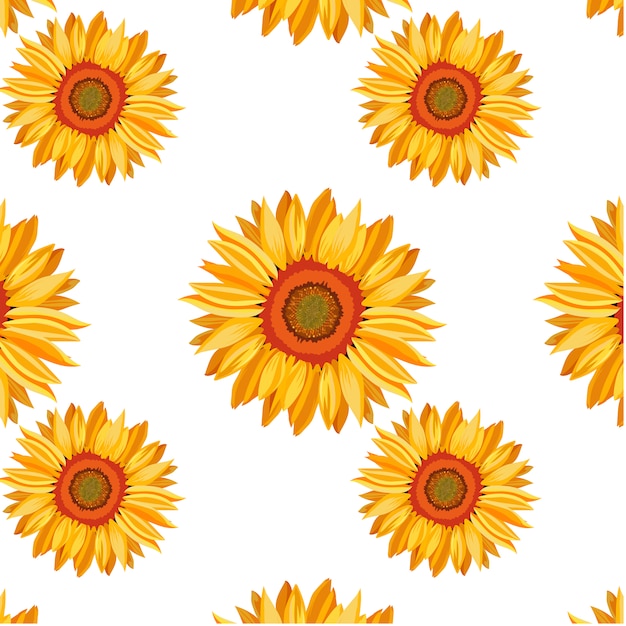 Fond de motif de tournesol