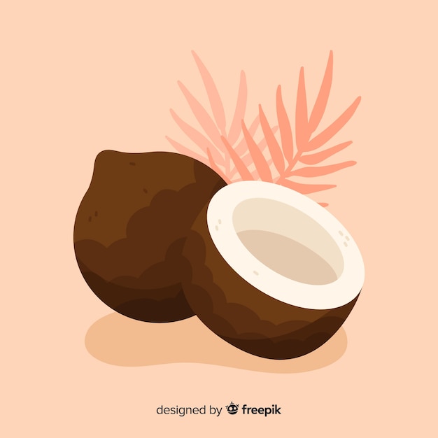 Vecteur gratuit fond de noix de coco dessiné à la main