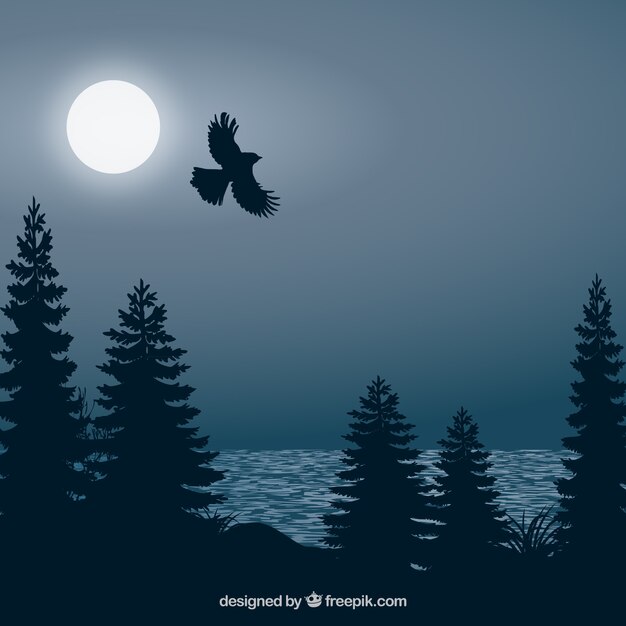 Fond avec un oiseau qui vole la nuit