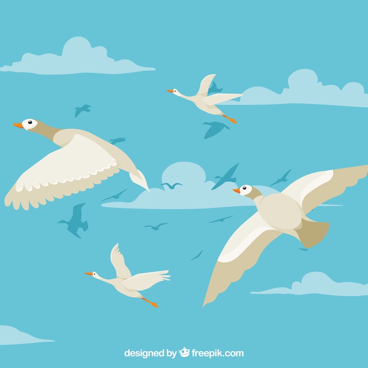 Vecteur gratuit fond d&#39;oiseau volant plat