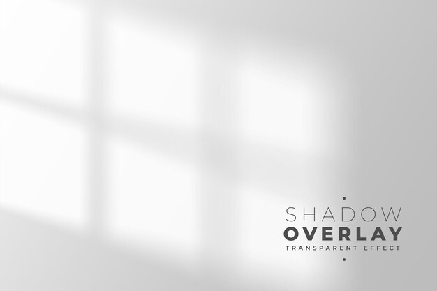 fond d'ombre de fenêtre de style minimal