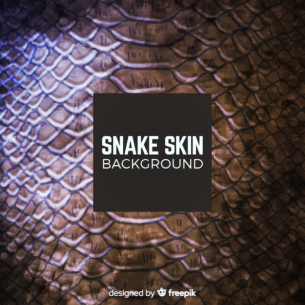 Images de Serpent Python Texture – Téléchargement gratuit sur Freepik