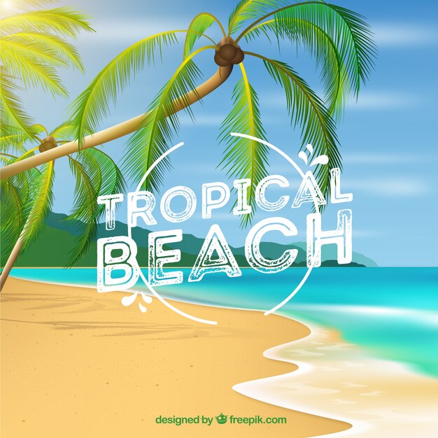 Fond de plage tropicale avec des palmiers dans un style réaliste