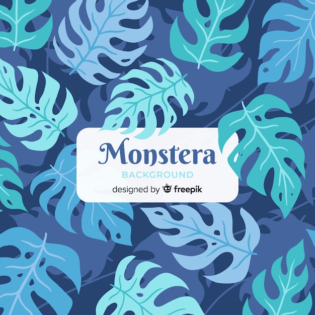 Fond Plat Monstera