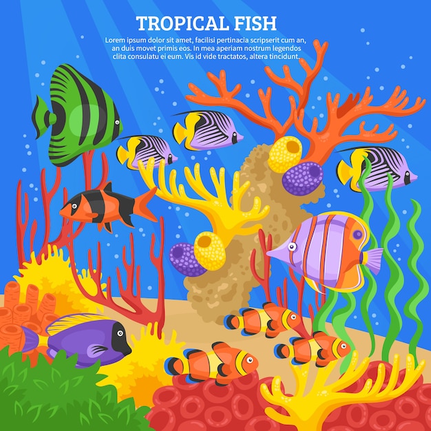 Fond de poissons tropicaux