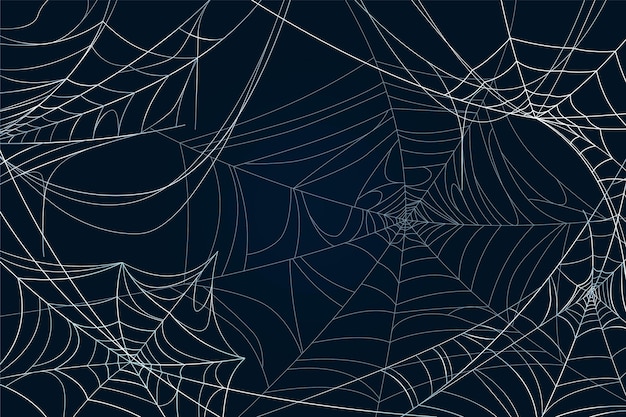 Fond de toile d'araignée halloween