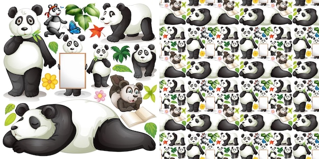 Fond Transparent Avec Panda Mignon