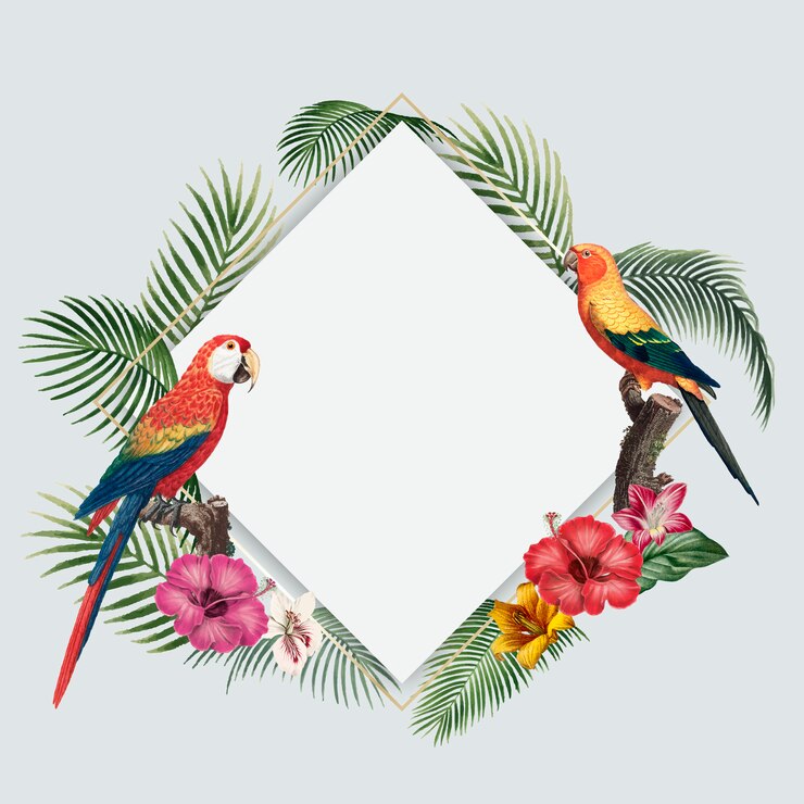 Vecteur gratuit fond tropical blanc