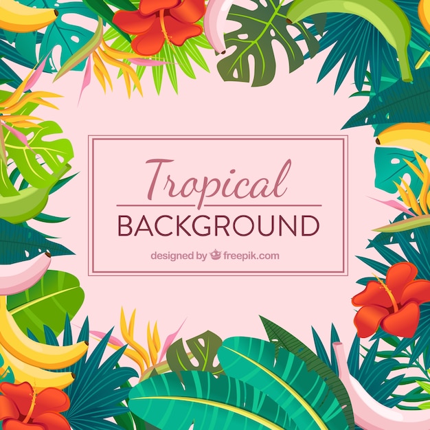 Fond Tropical Coloré Avec Un Design Plat