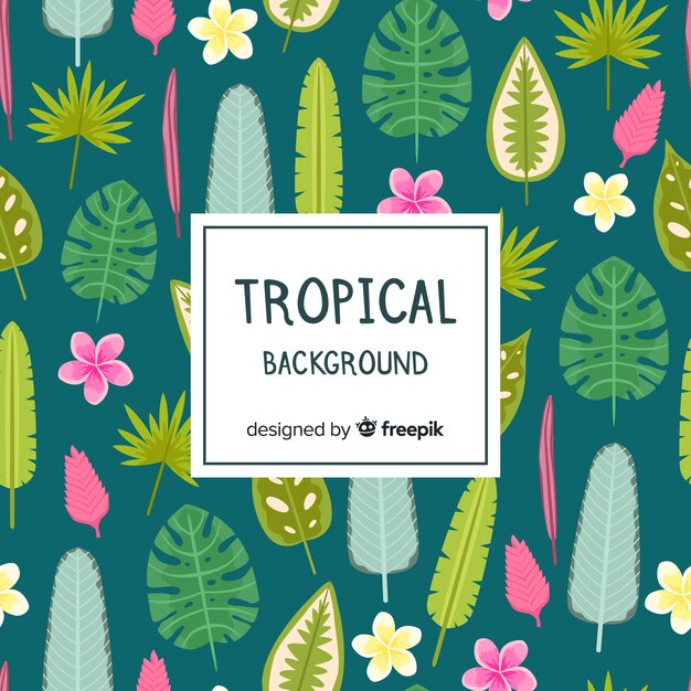 Fond Tropical Coloré Avec Un Design Plat