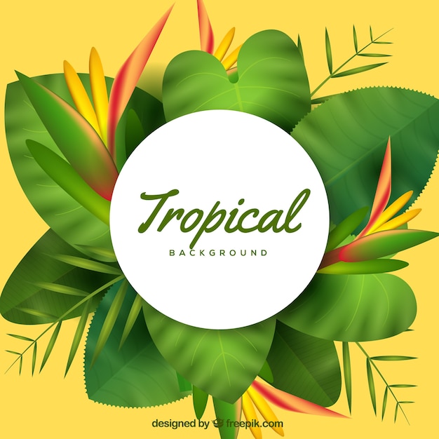 Fond Tropical Coloré Avec Un Design Réaliste