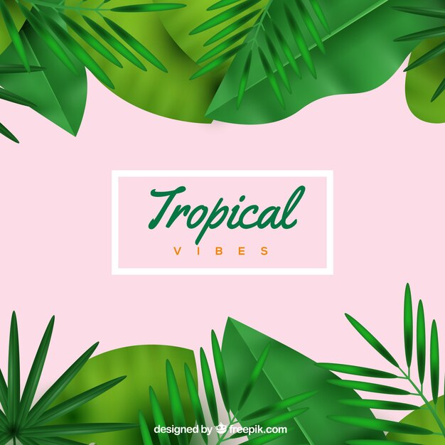 Fond tropical coloré avec un design réaliste