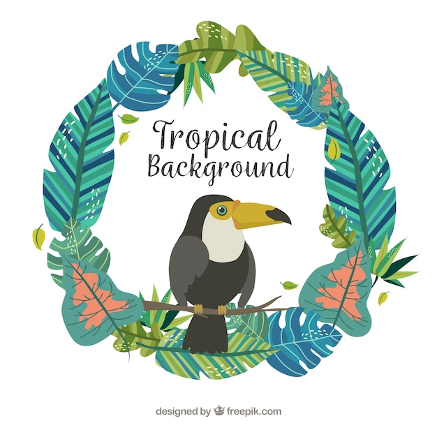 Fond Tropical Coloré Avec Du Tucan