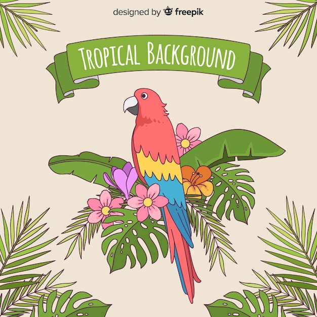 Vecteur gratuit fond tropical dessiné à la main